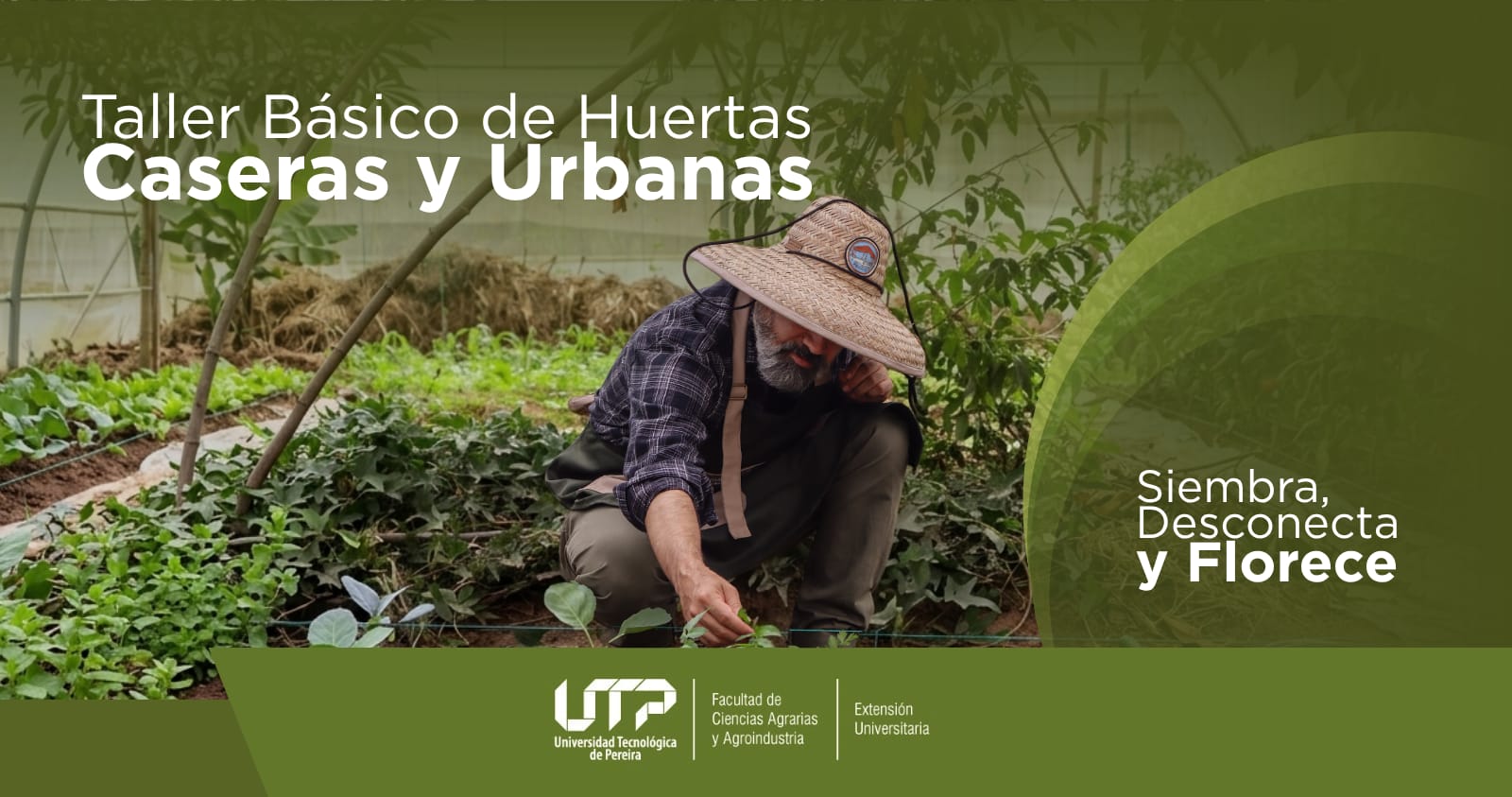 Taller Básico De Huertas Caseras Y Urbanas: Desconecta, Siembra Y Florece