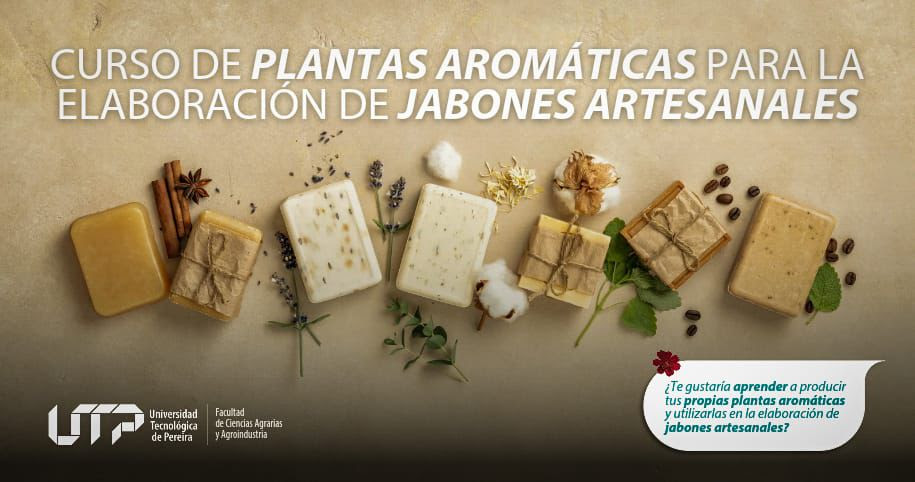 Formación en Producción de Plantas Aromáticas para Elaboración de Jabones Artesanales – Inscripciones abiertas