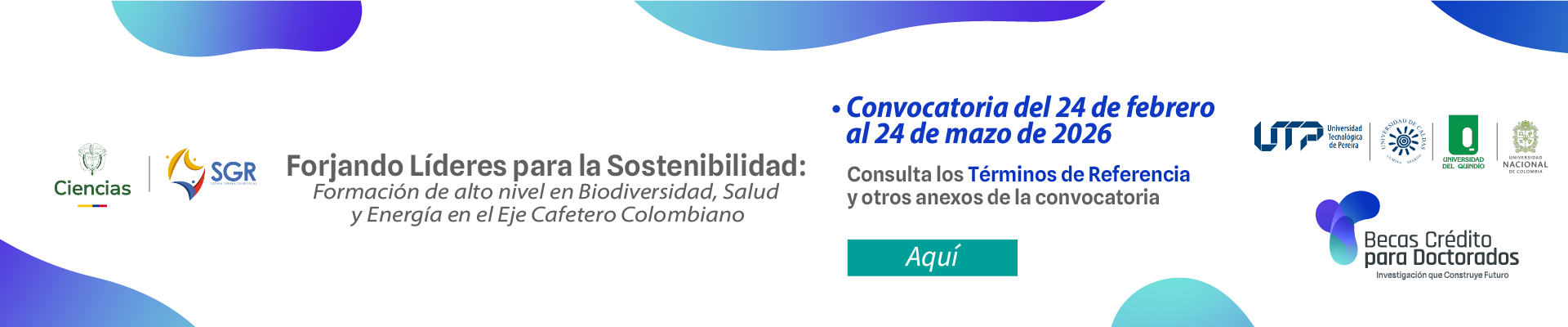 banner doctorados convocatoria