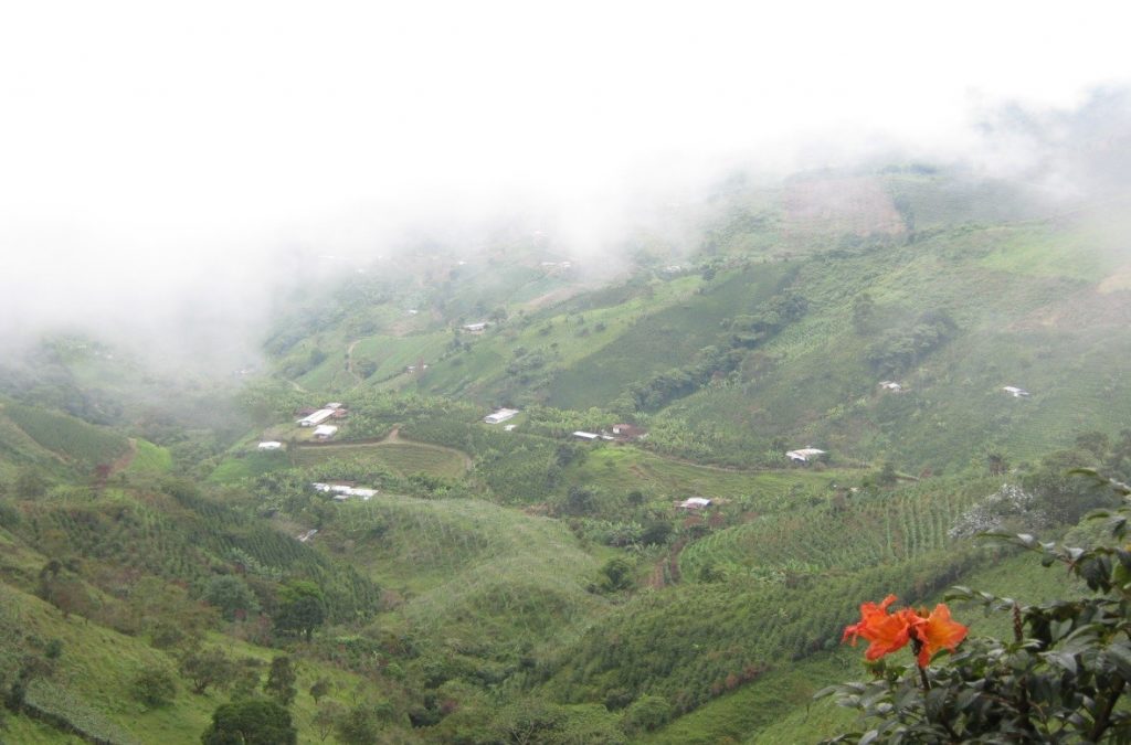 Grupos de Investigación