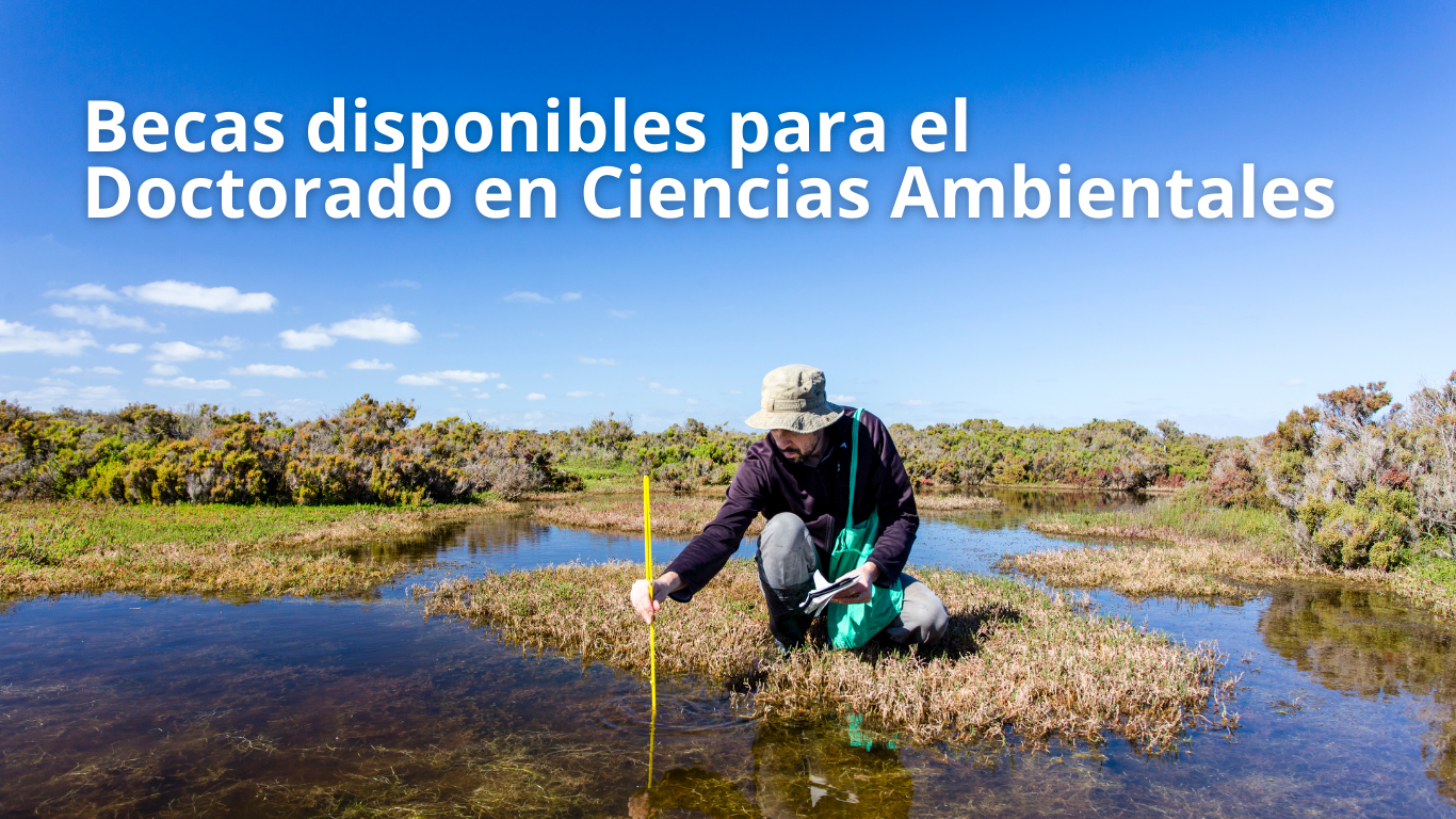 Doctorado en Ciencias Ambientales: becas disponibles para el periodo 2026-II