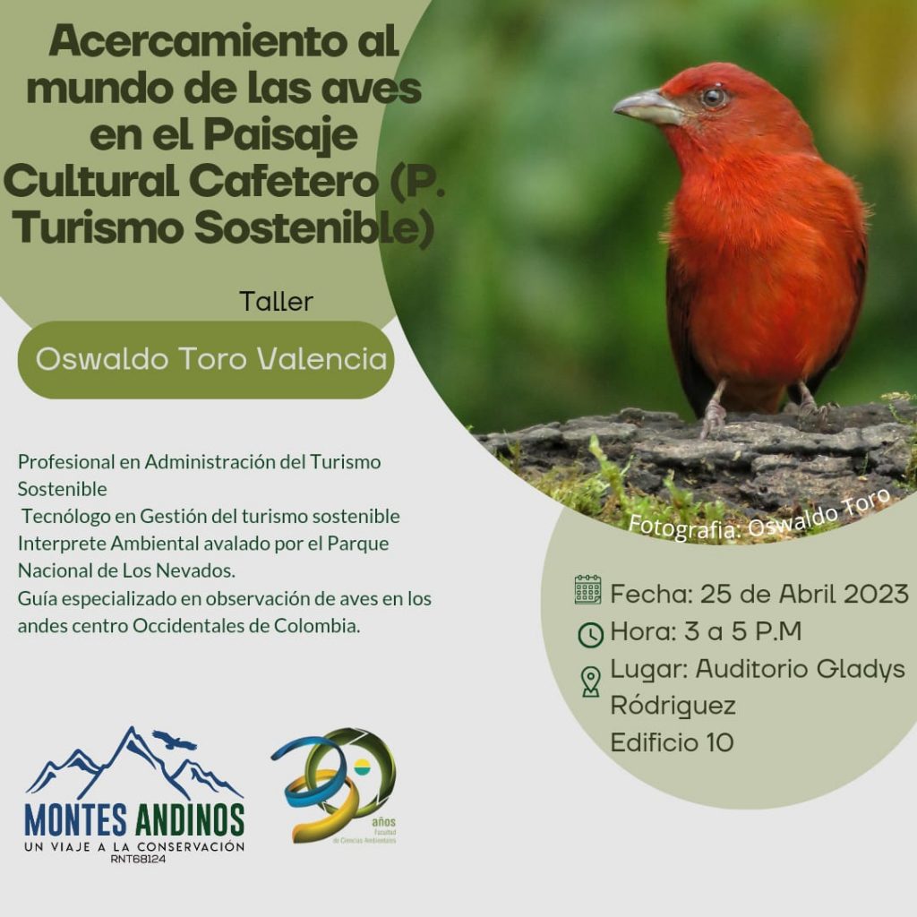 Acercamiento al mundo de las aves en el Paisaje Cultural Cafetero