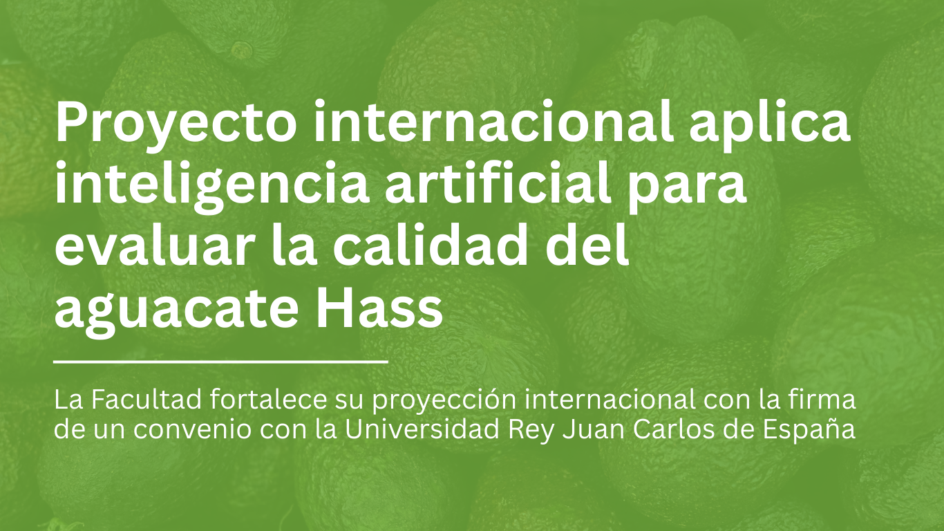Alianza internacional impulsa proyecto sobre maduración del aguacate con inteligencia artificial