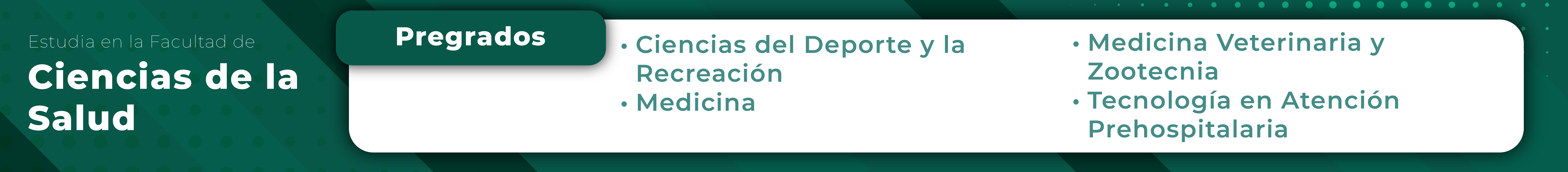 Programas Pregrado Facultad Ciencias de la Salud